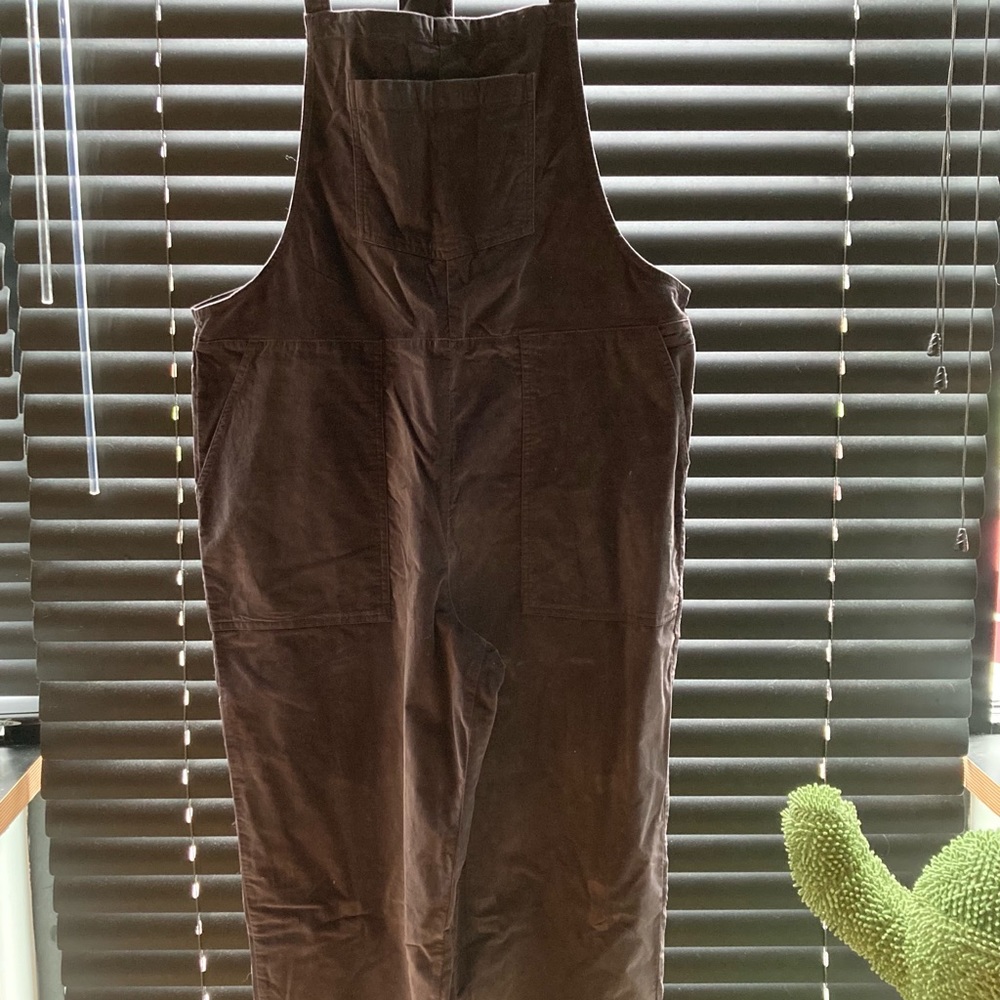Aerie overalls